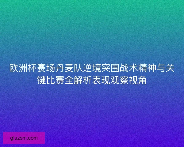 欧洲杯赛场丹麦队逆境突围战术精神与关键比赛全解析表现观察视角