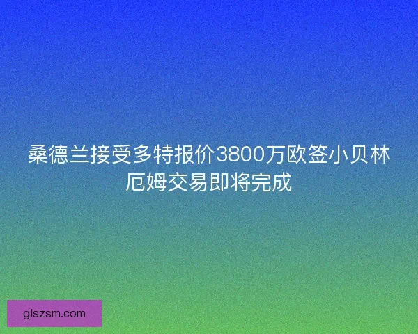 桑德兰接受多特报价3800万欧签小贝林厄姆交易即将完成 桑德兰接受多特报价3800万欧签小贝林厄姆交易即将完成