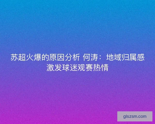 苏超火爆的原因分析 何涛：地域归属感激发球迷观赛热情